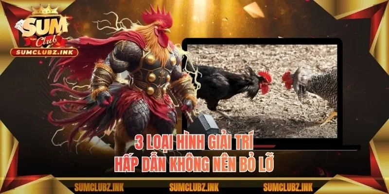 3 loại hình giải trí hấp dẫn không nên bỏ lỡ