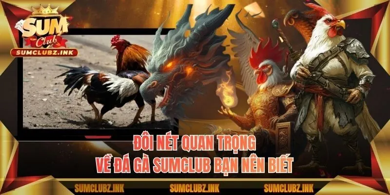 Đôi nét quan trọng về đá gà Sumclub bạn nên biết