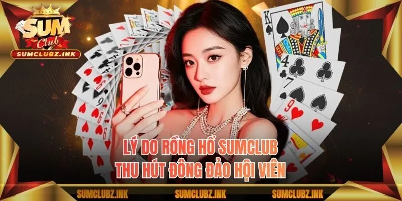 Lý do Rồng Hổ Sumclub thu hút đông đảo hội viên